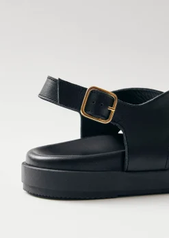 Nico Leather Sandals|ALOHAS Best
