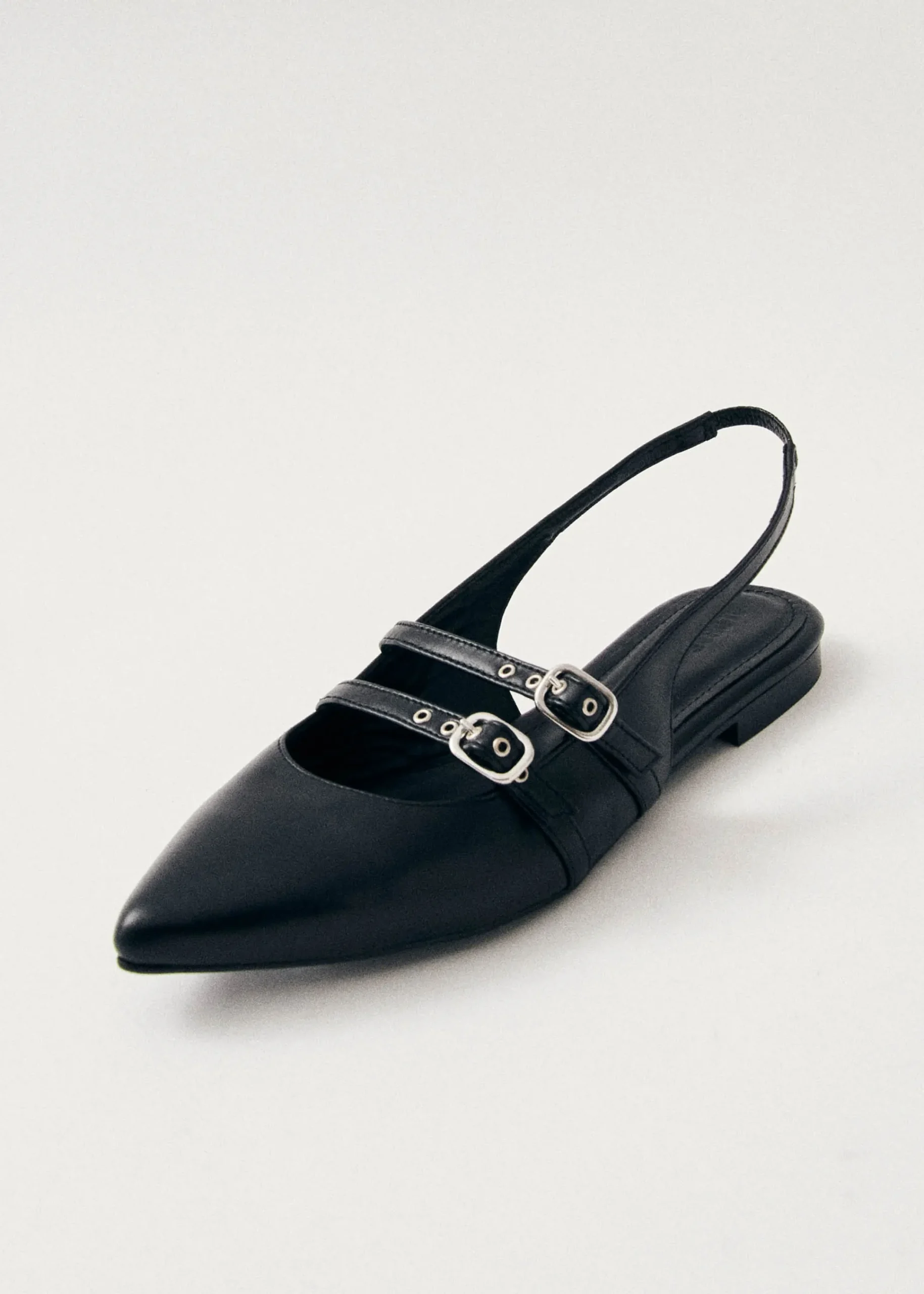 Wren Leather Ballet Flats|ALOHAS Hot